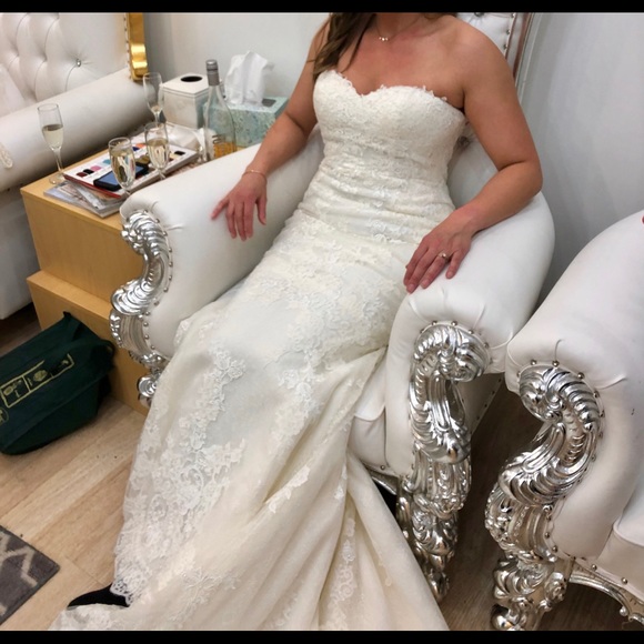 Designer Pronovias Wedding Dress - Picture 2 of 4